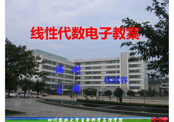 线性代数电子教案(完整版全套优质课件)