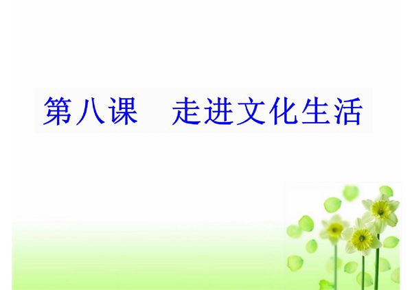高二政治第八课走进文化生活课件ppt(精品)