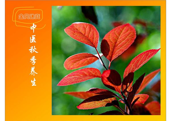 中医秋季养生