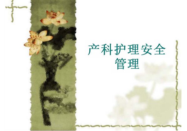 产科护理安全 PPT课件