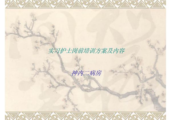 实习护士岗前培训方案及内容