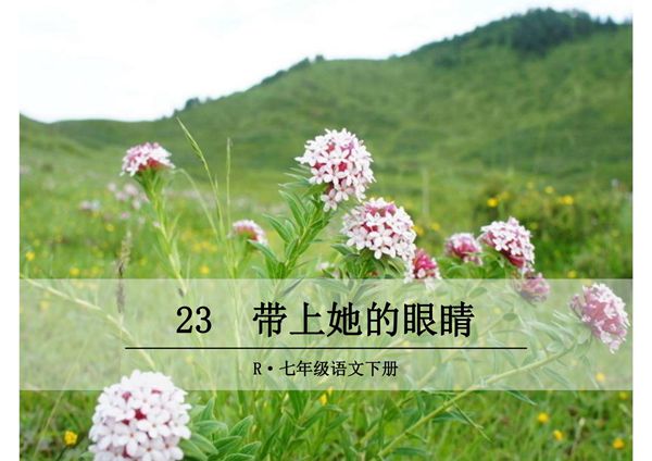 (部编版)2019年七年级语文下册 第23-24课ppt教学课件