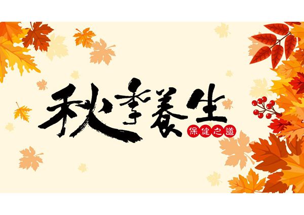 养生保健PPT模板