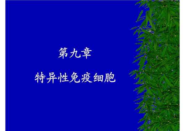 (基础医学)08特异性免疫细胞