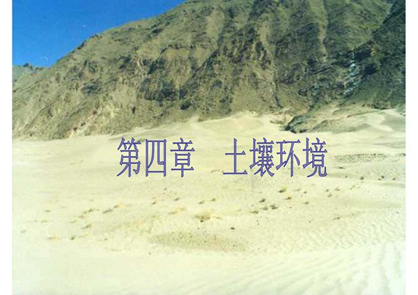 (环境课件)袁兆华环境学概论第四章 土壤环境