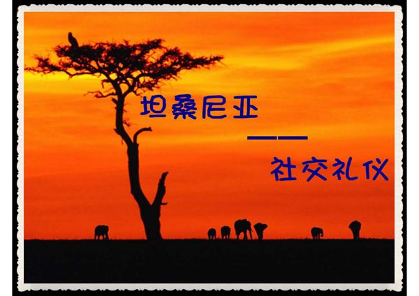 (精品)坦桑尼亚