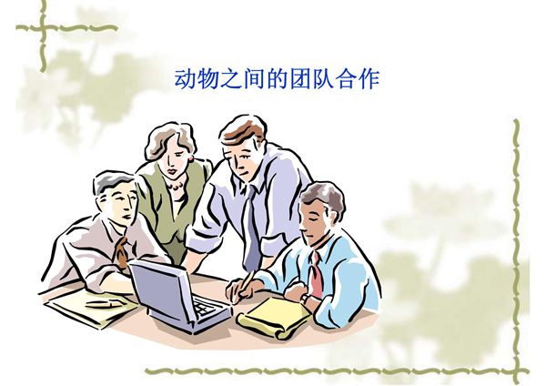动物之间的团队合作