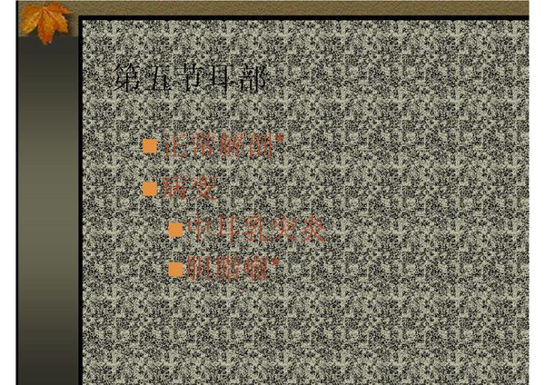 头颈部(耳部)的影像诊断 温医《医学影像学》(第2版)课件