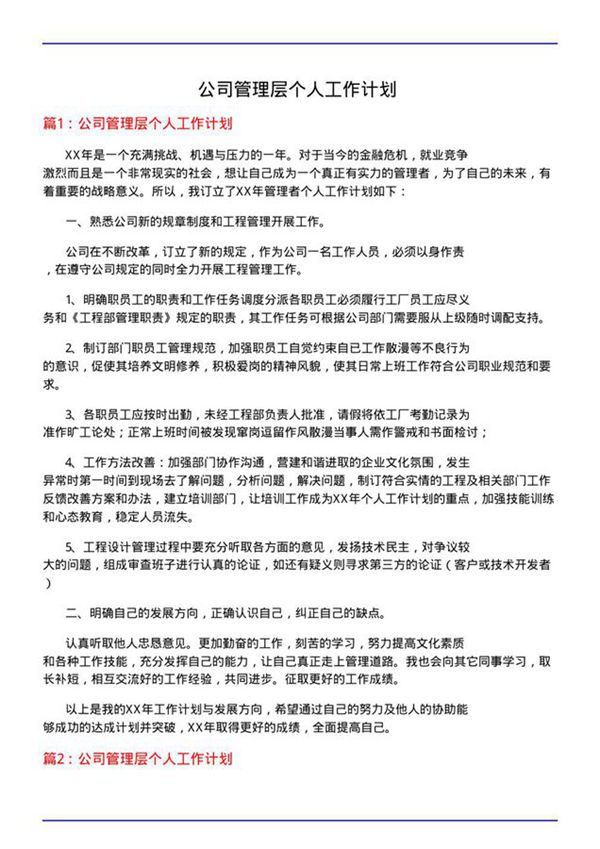 公司管理层个人工作计划