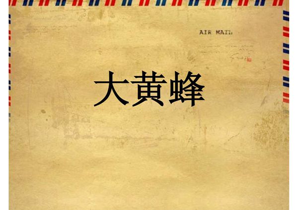 (精品)你比划我猜(搞笑版)