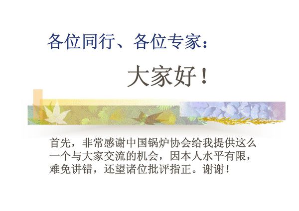 电站锅炉内部检验1