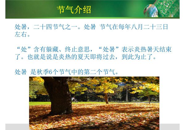 处暑老年人养生