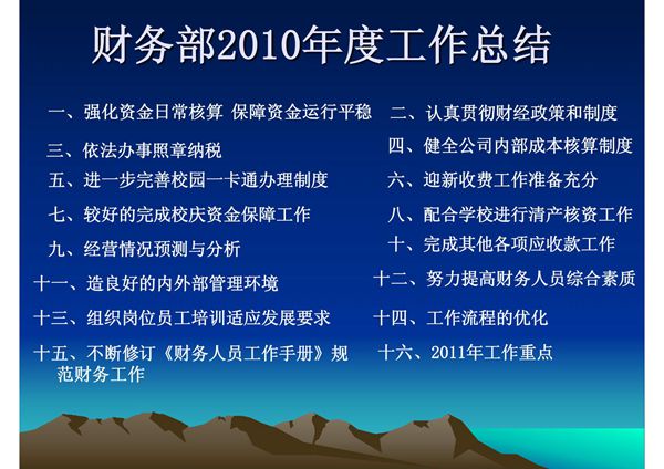 财务部2010年度工作总结