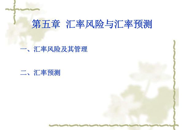 汇率风险与汇率预测