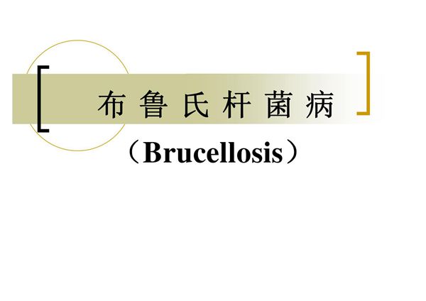 布鲁氏菌病(人畜共患病,又名布氏杆菌病)防制 幻灯片 培训材料