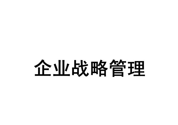 企业战略管理 ·