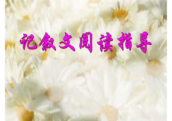 (精品)中考语文记叙文阅读复习课件(94张)