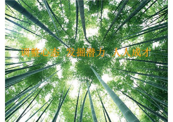 调整心态ppt