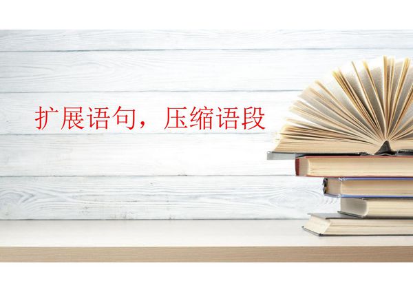 2021年高考语文基础知识一轮清盘-- 扩写与缩句