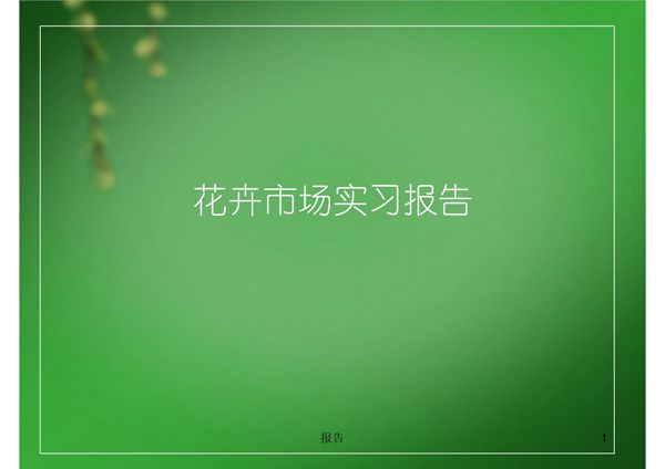 花卉市场实习报告 PPT课件