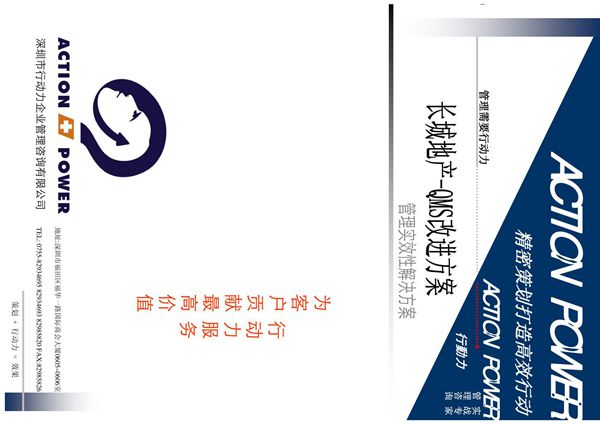 某地产公司的QMS咨询方案书