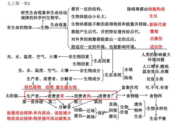 初中生物复习知识点中考复习专用(思维导图)