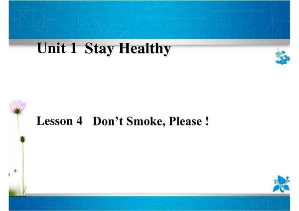 冀教版九年级英语上册Lesson 4 课件