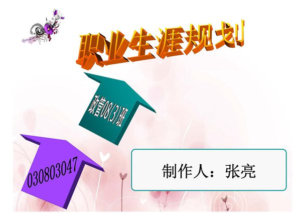 大学生职业生涯规划书   人力资源管理专业