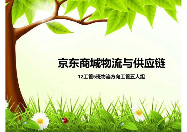 京东商城物流与供应链案例分析.