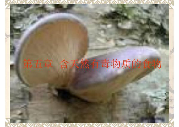 含天然有毒物质的食物