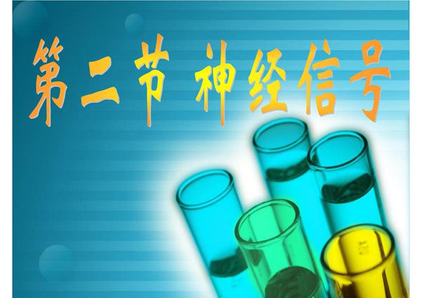 (生物课件)第二节 神经信号