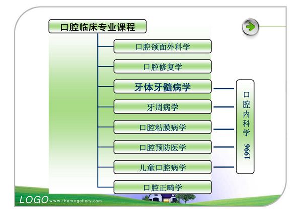 龋病 温医《牙体牙髓病学》课件