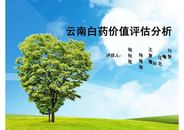 云南白药价值评估分析