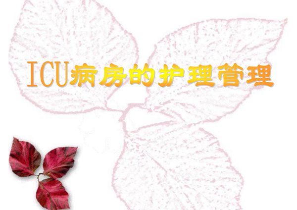 重症监护病房的护理管理 PPT课件