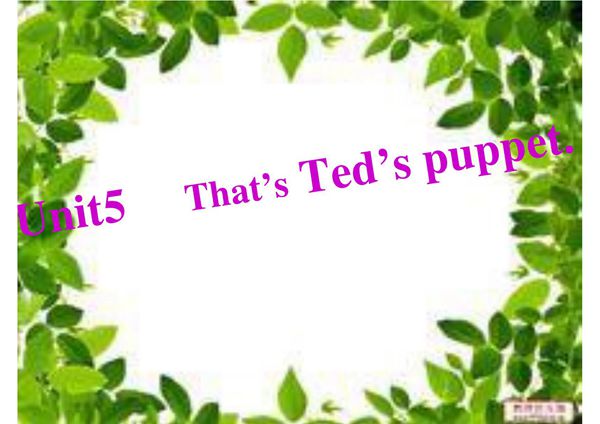 Starter B新概念入门级B第五单元Unit5课件ppt