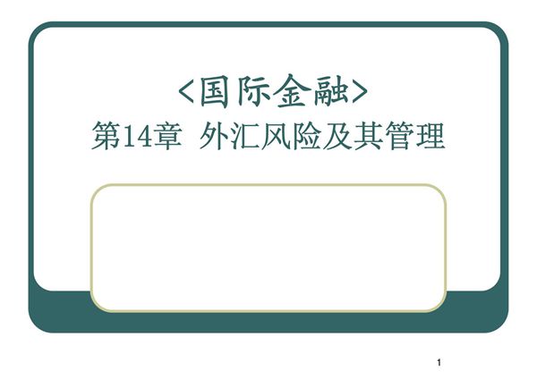 第14章 外汇风险及其管理