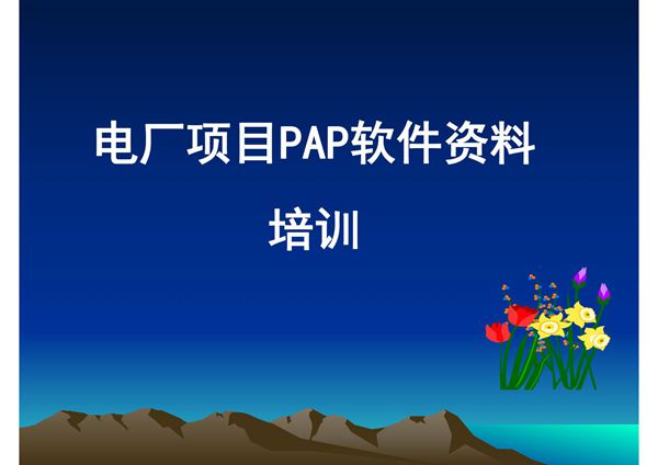 电厂项目PAP软件资料培训