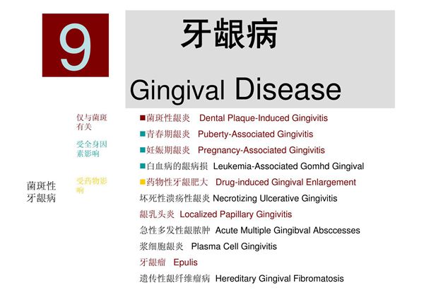 牙龈病 同济口腔医学课件