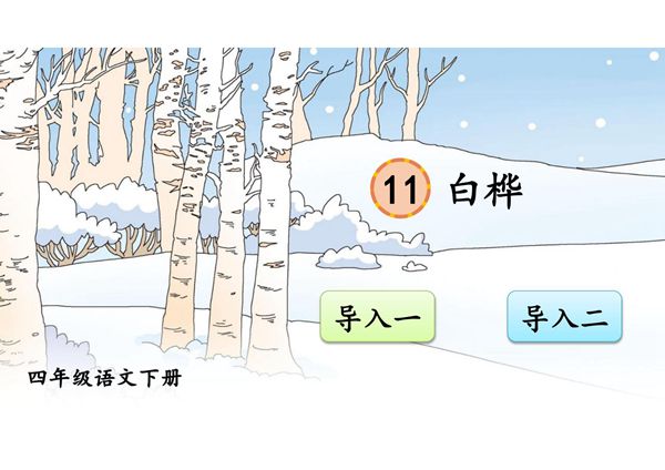 人教部编版·四年级(下册)语文第11课《白桦》课件