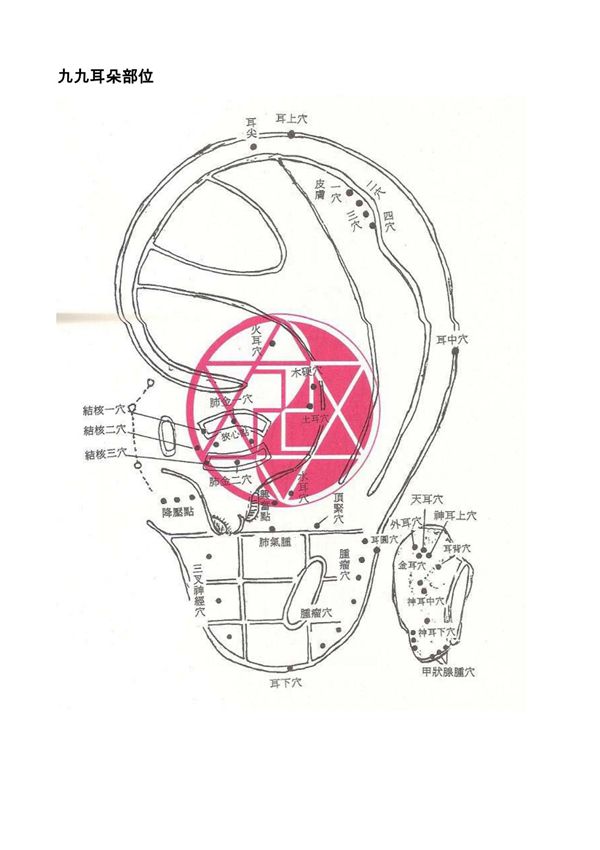 董氏穴位詳解--九九耳朵部位