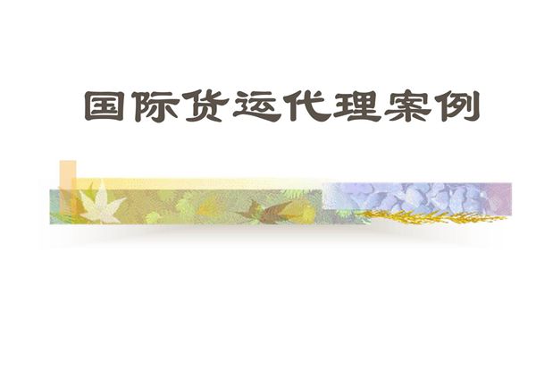 国际货运代理案例