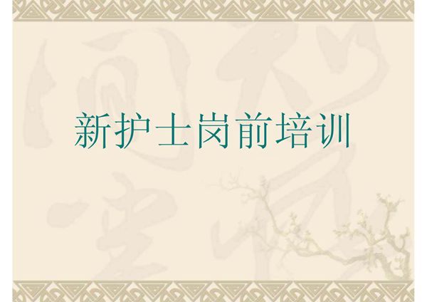 新护士岗前培训课件96194