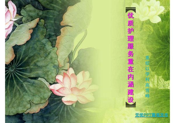 优质护理服务PPT