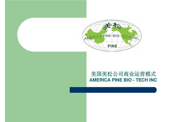 美国美松公司商业运营模式