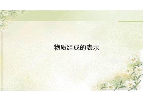 2020中考化学专项突破 物质组成的表示教学课件