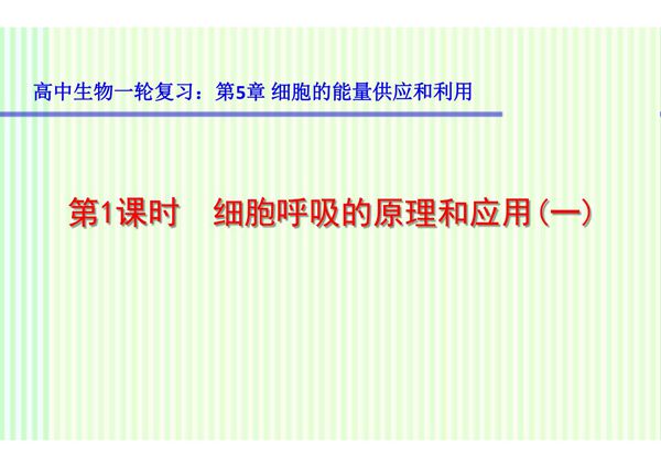 高中生物一轮复习 细胞呼吸的原理和应用