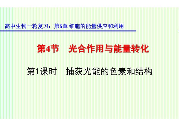 高中生物一轮复习 光合作用与能量转化