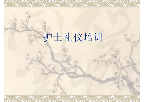 护士礼仪培训 PPT课件