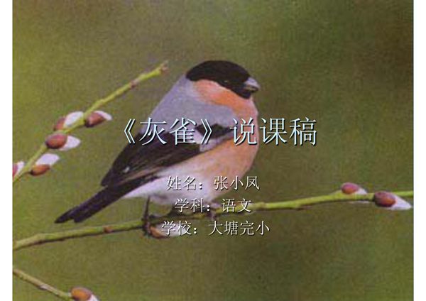 《灰雀》说课稿