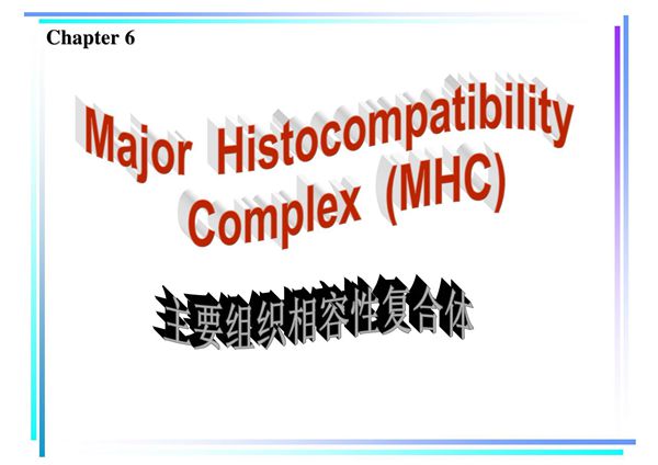 主要组织相容性复合体(MHC) 《医学免疫学》课件